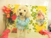 dscn9903