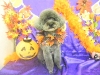 dscn9928