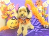 dscn9934_0