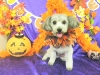 dscn9938_0