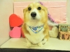 dscn5261