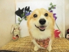 dscn5954