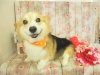 dscn9583