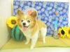 dscn4300