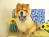 dscn4388