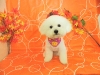 dscn7525