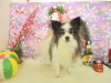 dscn8135