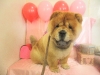 dscn8223