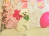 dscn8786