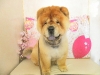 dscn8917