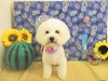 dscn9451