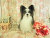 dscn9553