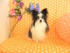 dscn9659