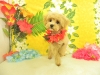 dscn9739