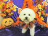 dscn9818