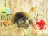 dscn6799