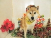dscn3892