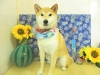 dscn4274