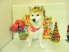 dscn4402