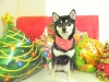 dscn4605
