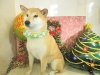 dscn7577
