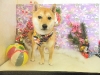 dscn8129