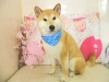 dscn9103