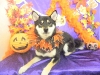 dscn9847