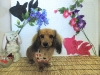 dscn5974