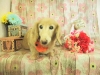 dscn6754
