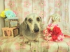 dscn6767