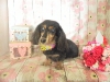 dscn9682_0