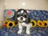8dc033ea9b88cacc736ff2432d7a7286