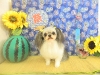 dscn4252