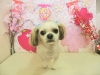 dscn5367