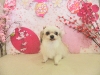 dscn5625