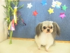 dscn6165