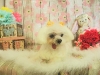 dscn6657