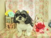dscn6807