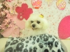 dscn8807