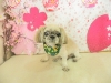 dscn8814