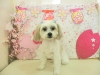 dscn9132