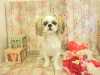 dscn9636