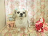 dscn9683