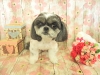 dscn9736
