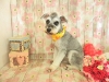 dscn9503_0