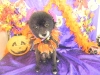 dscn4233