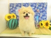dscn4297