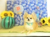 dscn4308