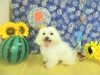 dscn4324